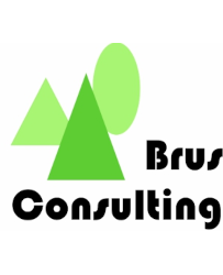 Brus Consulting